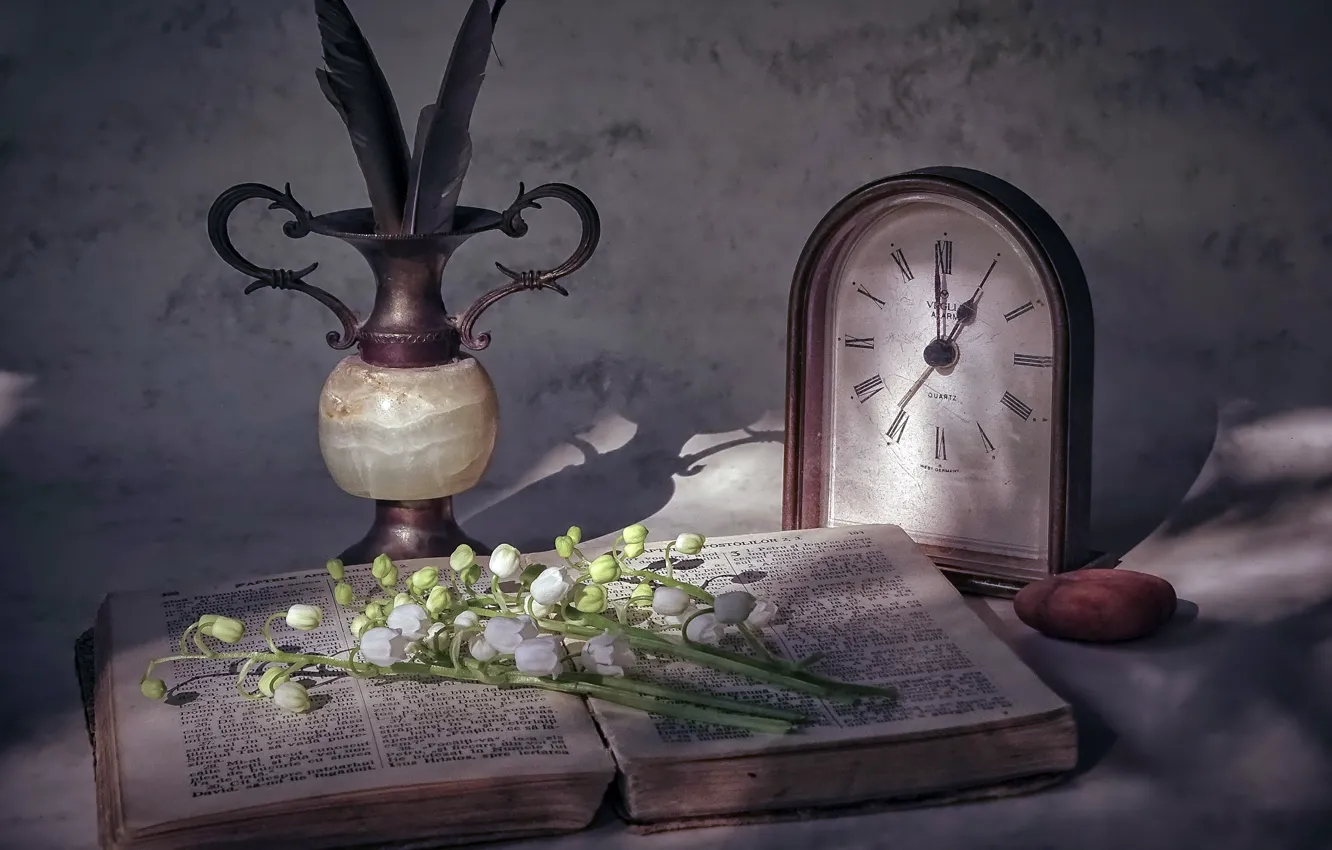 Фото обои цветы, часы, книга
