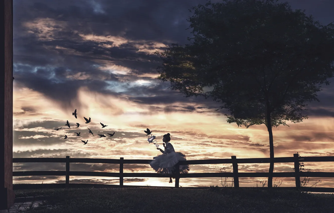 Фото обои девушка, закат, птицы, забор