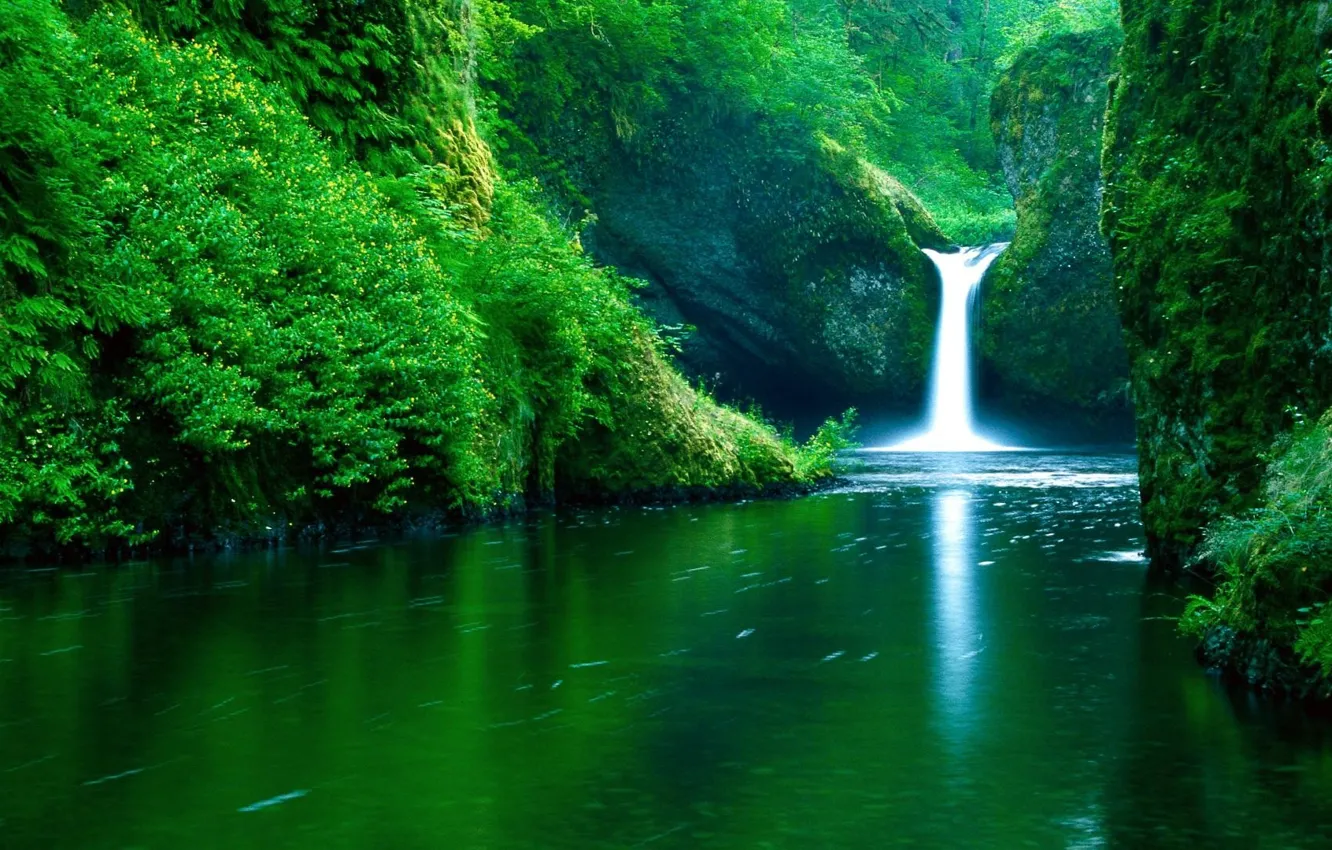 Фото обои forest, landscape, water, waterfall