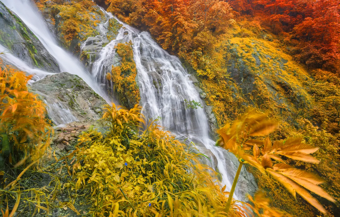 Фото обои осень, пейзаж, природа, скалы, берег, растительность, водопад