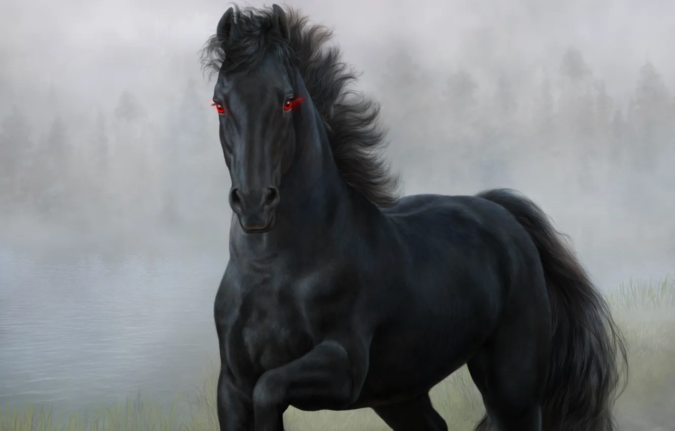 Фото обои глаза, конь, черный, лошадь