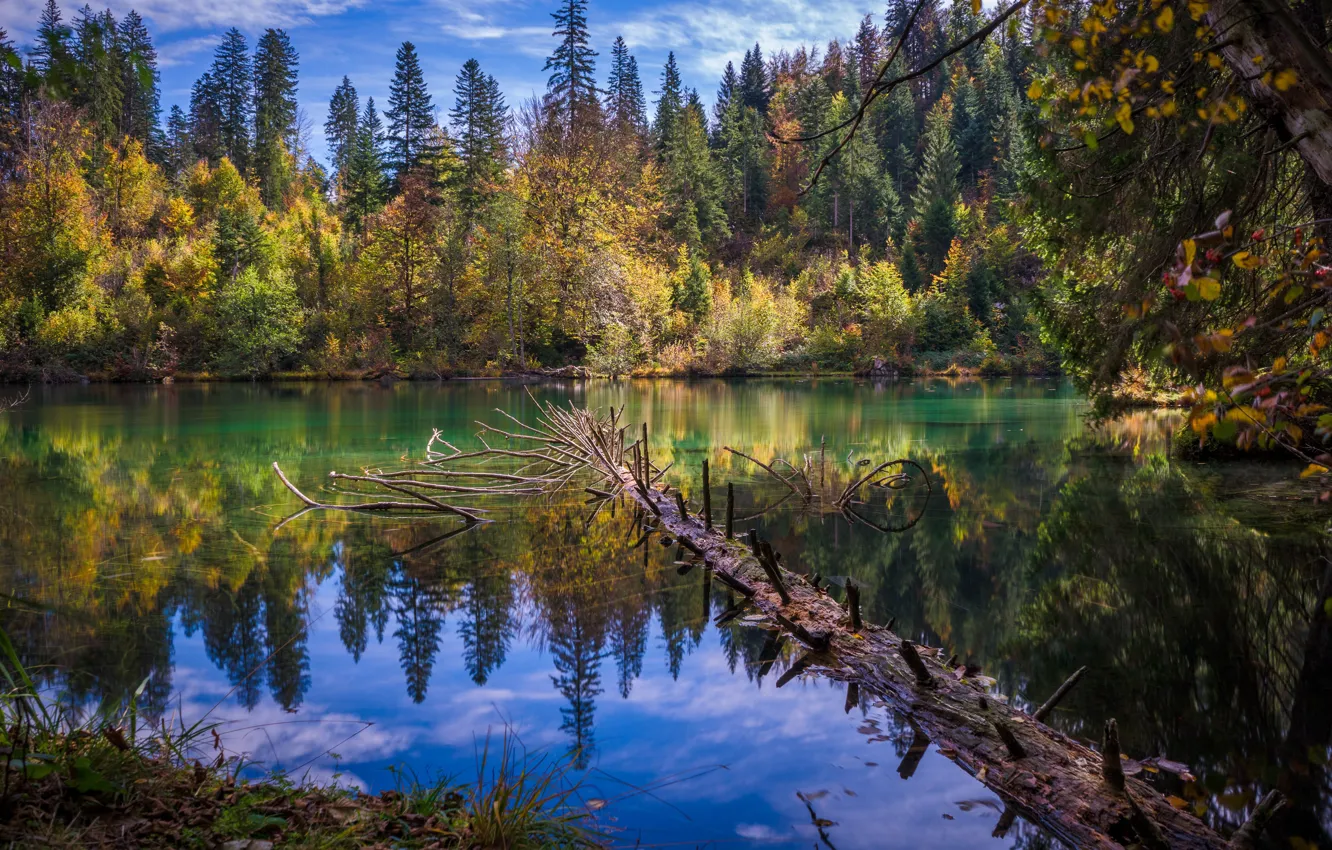 Фото обои осень, лес, пейзаж, природа, озеро, отражение, Швейцария, озеро Cresta