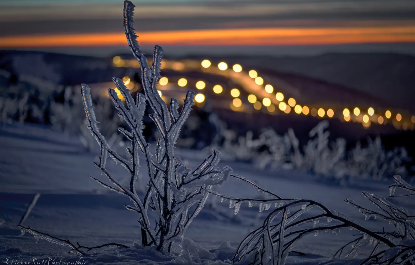 Фото обои зима, снег, лёд, ветка, вечер, свет.боке