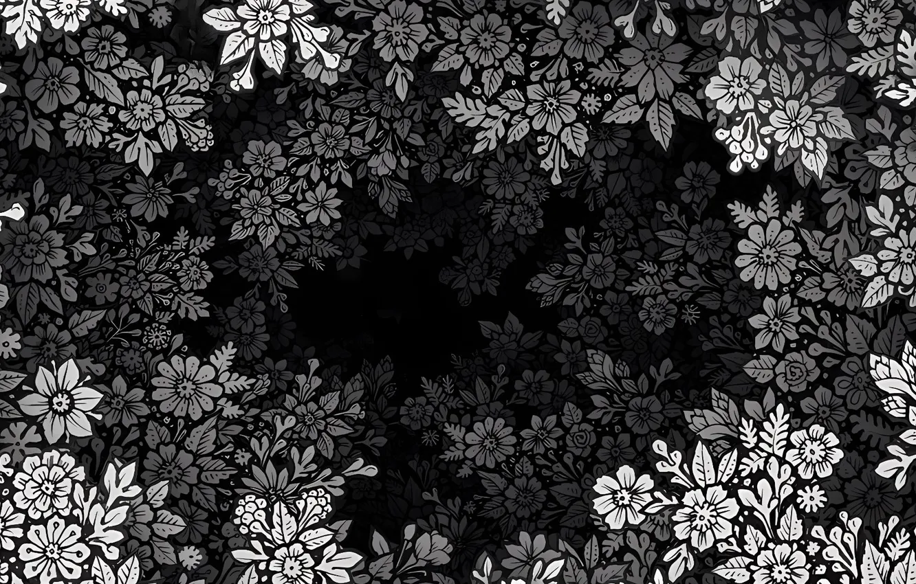 Фото обои flowers, monochrome, Visothkakvei