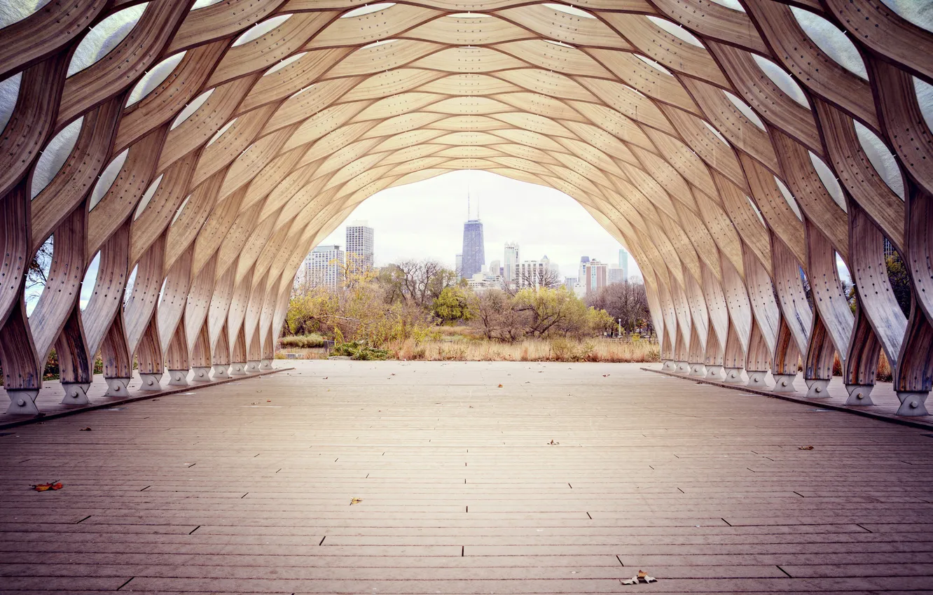 Фото обои деревья, город, туннель, Чикаго