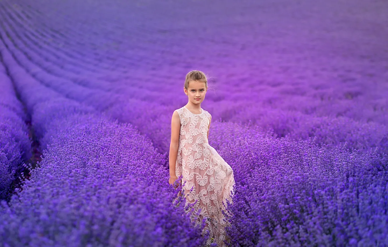 Фото обои поле, цветы, природа, девочка, лаванда