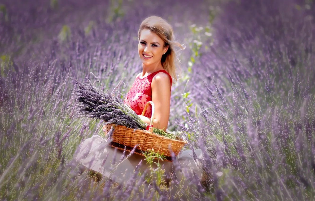 Фото обои поле, девушка, природа, корзина, лаванда
