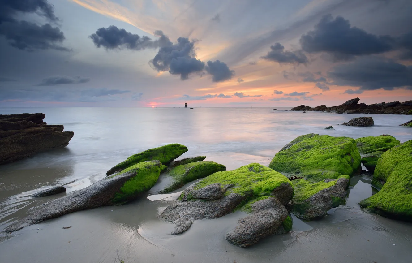 Фото обои море, небо, водоросли, закат, тучи, камни, скалы