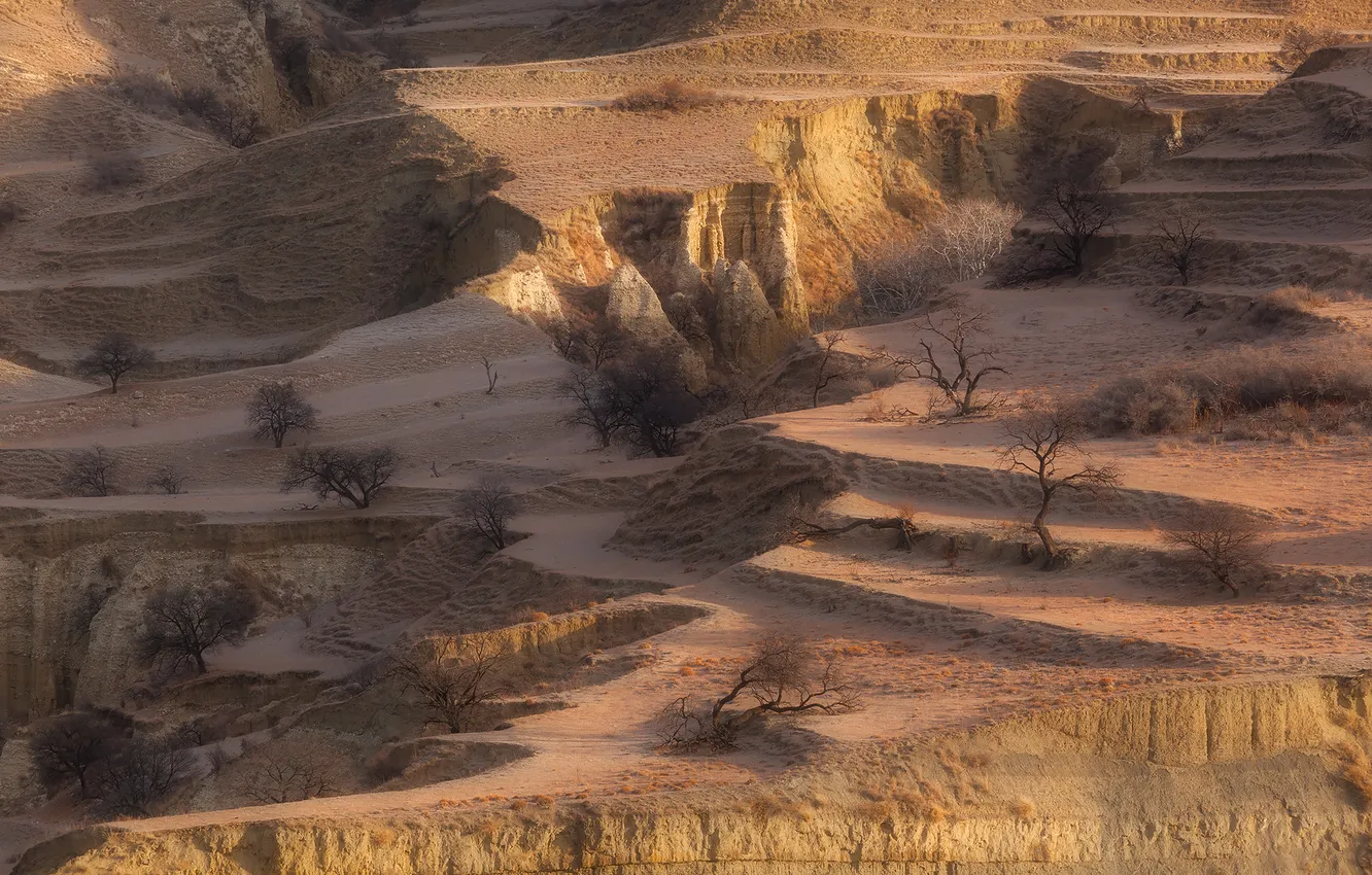 Фото обои desert, relief, arid