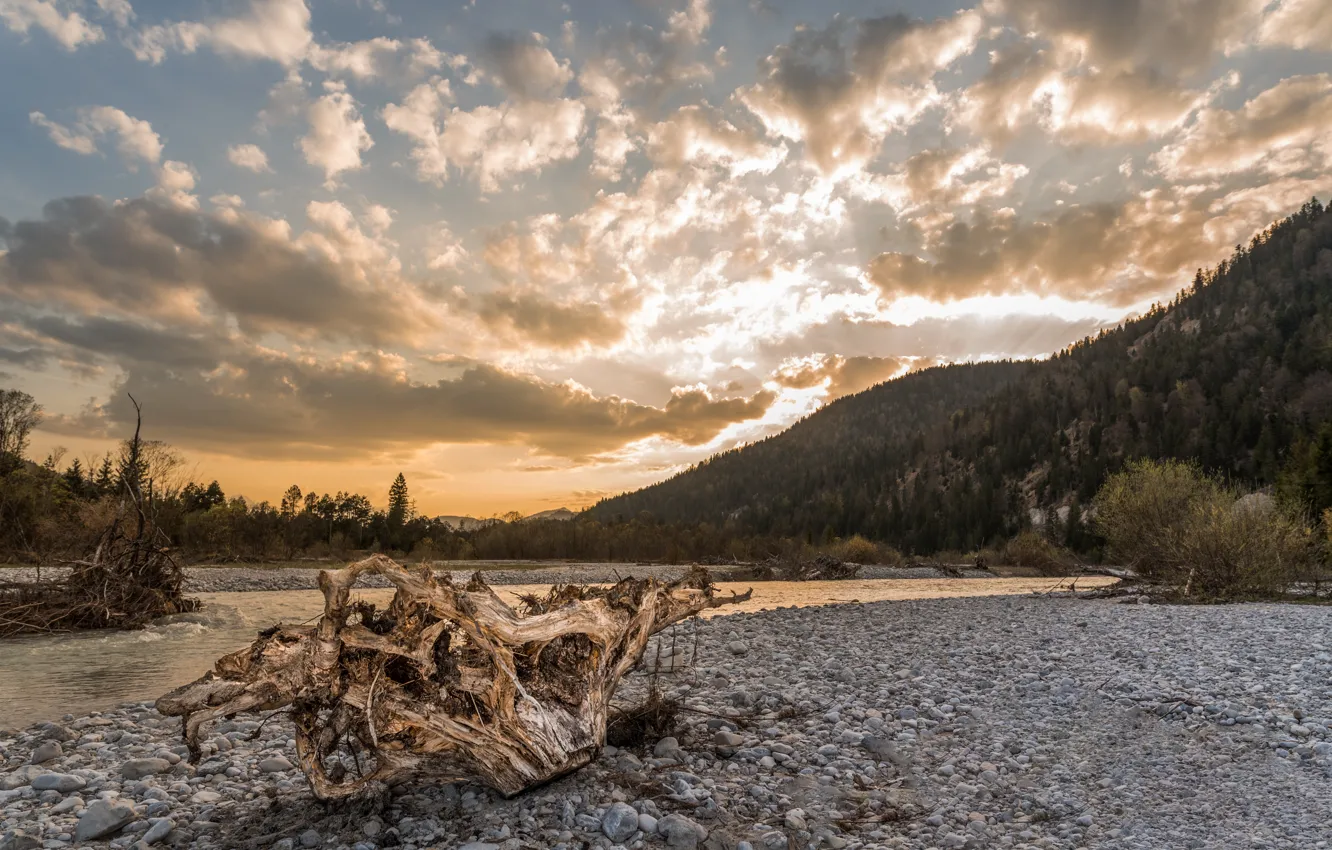 Фото обои лес, небо, горы, река, бревно