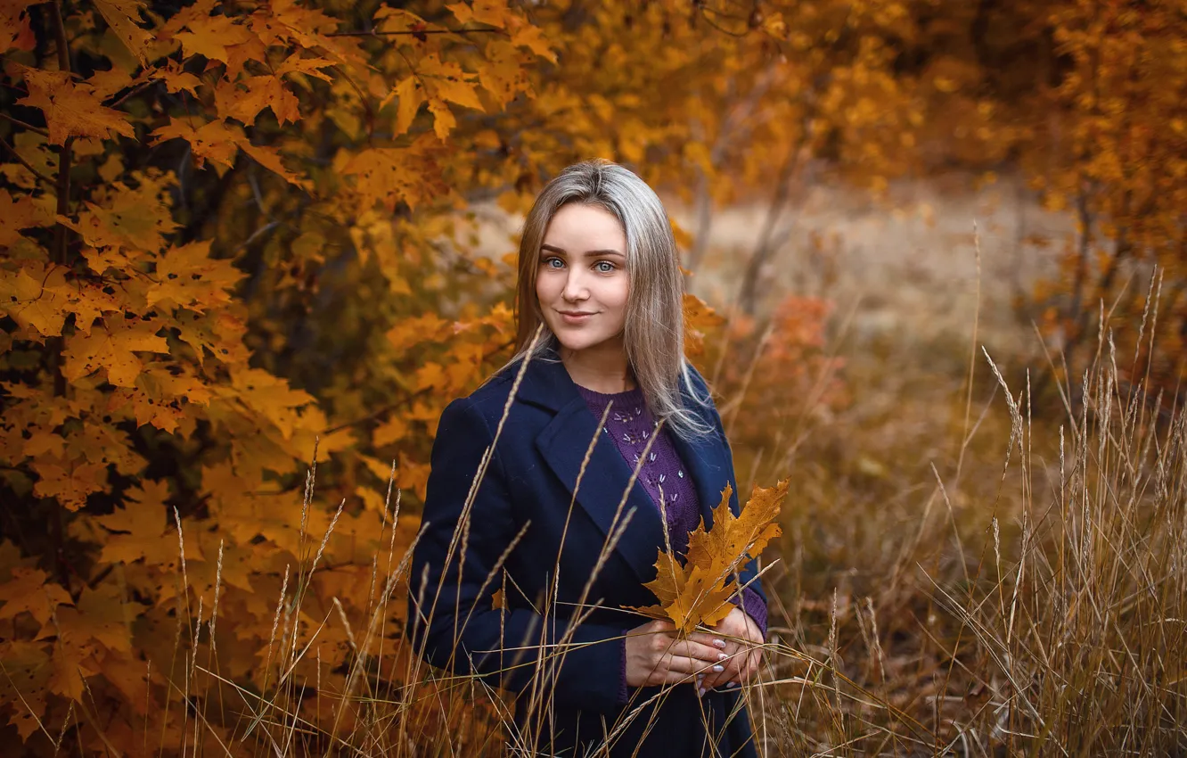 Фото обои осень, листья, ветки, улыбка, Девушка, Сергей Сорокин