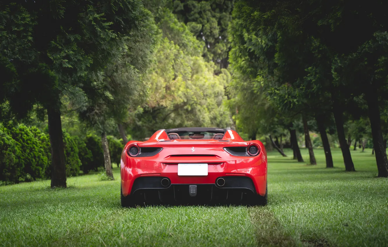 Фото обои трава, деревья, красный, спорткар, вид сзади, Ferrari 488 Spider