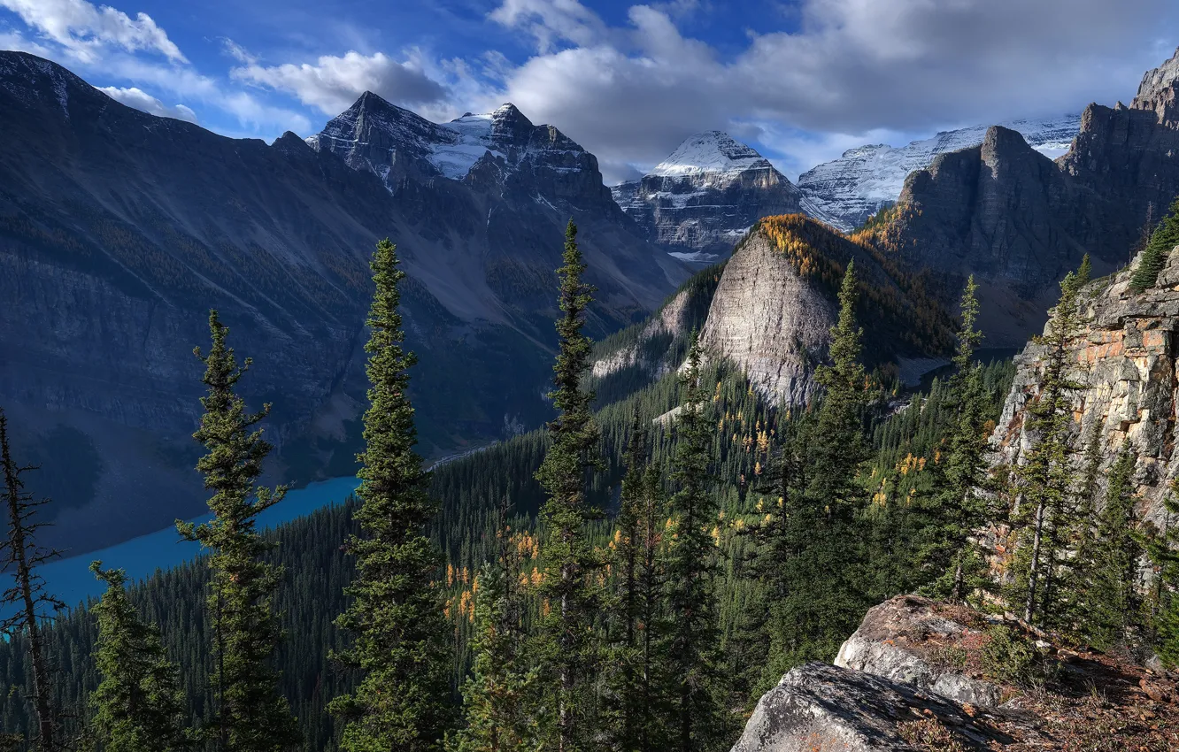 Фото обои лес, горы, водоем