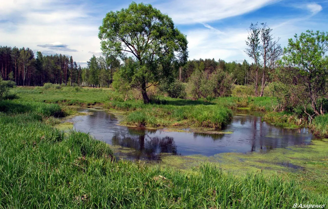 Фото обои небо, вода, природа, река, обработка, красиво, Пейзаж, верба