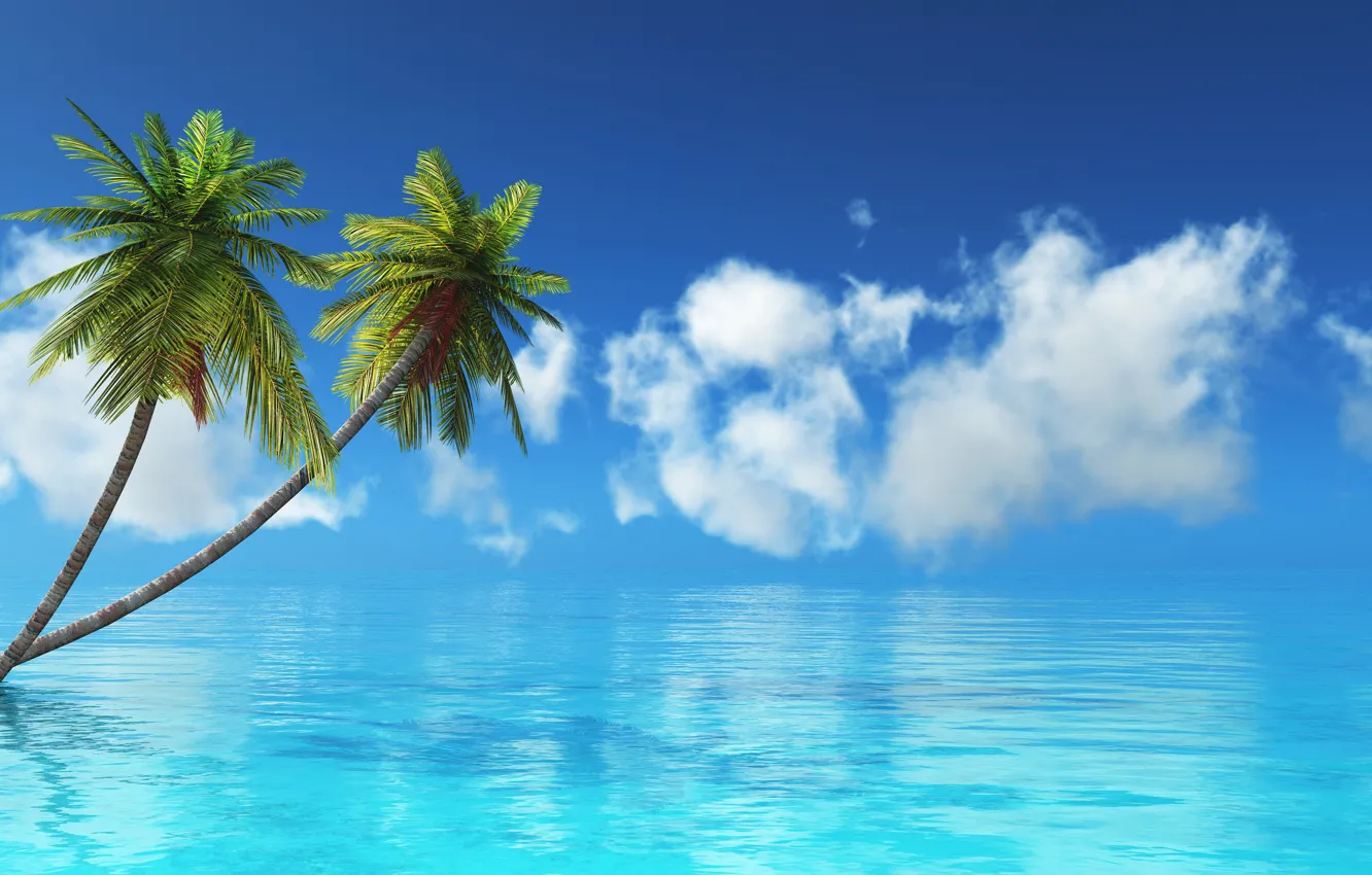 Фото обои море, тропики, пальма