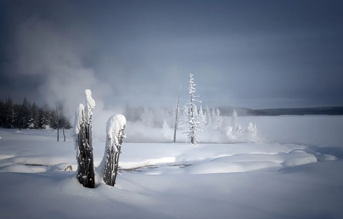 Фото обои зима, снег, природа, туман