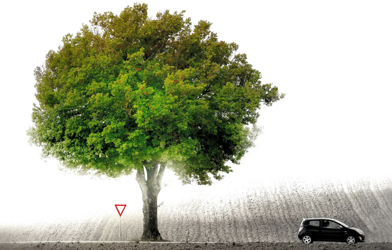 Фото обои машина, дерево, знак