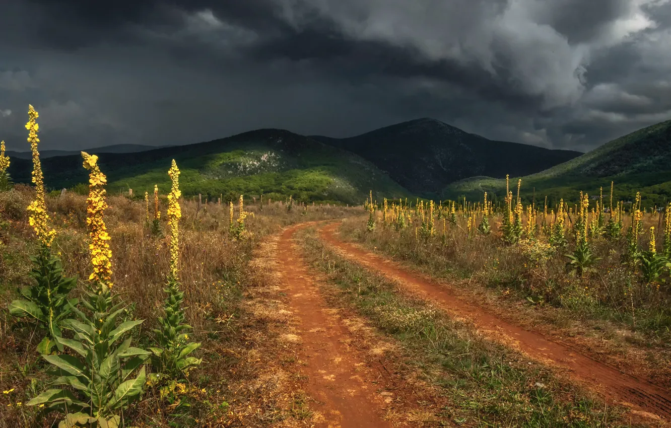 Фото обои дорога, гроза, пейзаж, тучи, природа, холмы, Крым