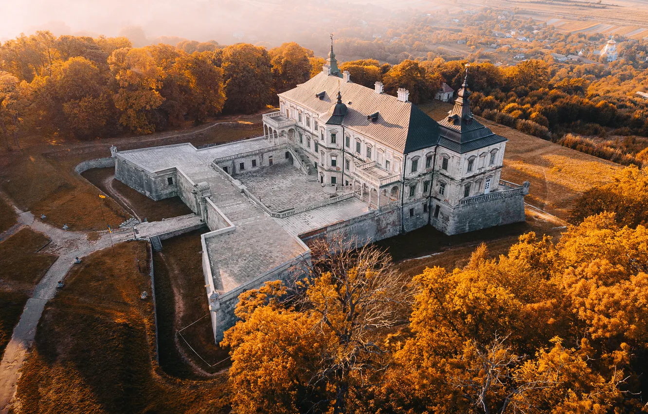 Фото обои forest, wear, mansion, abandonment