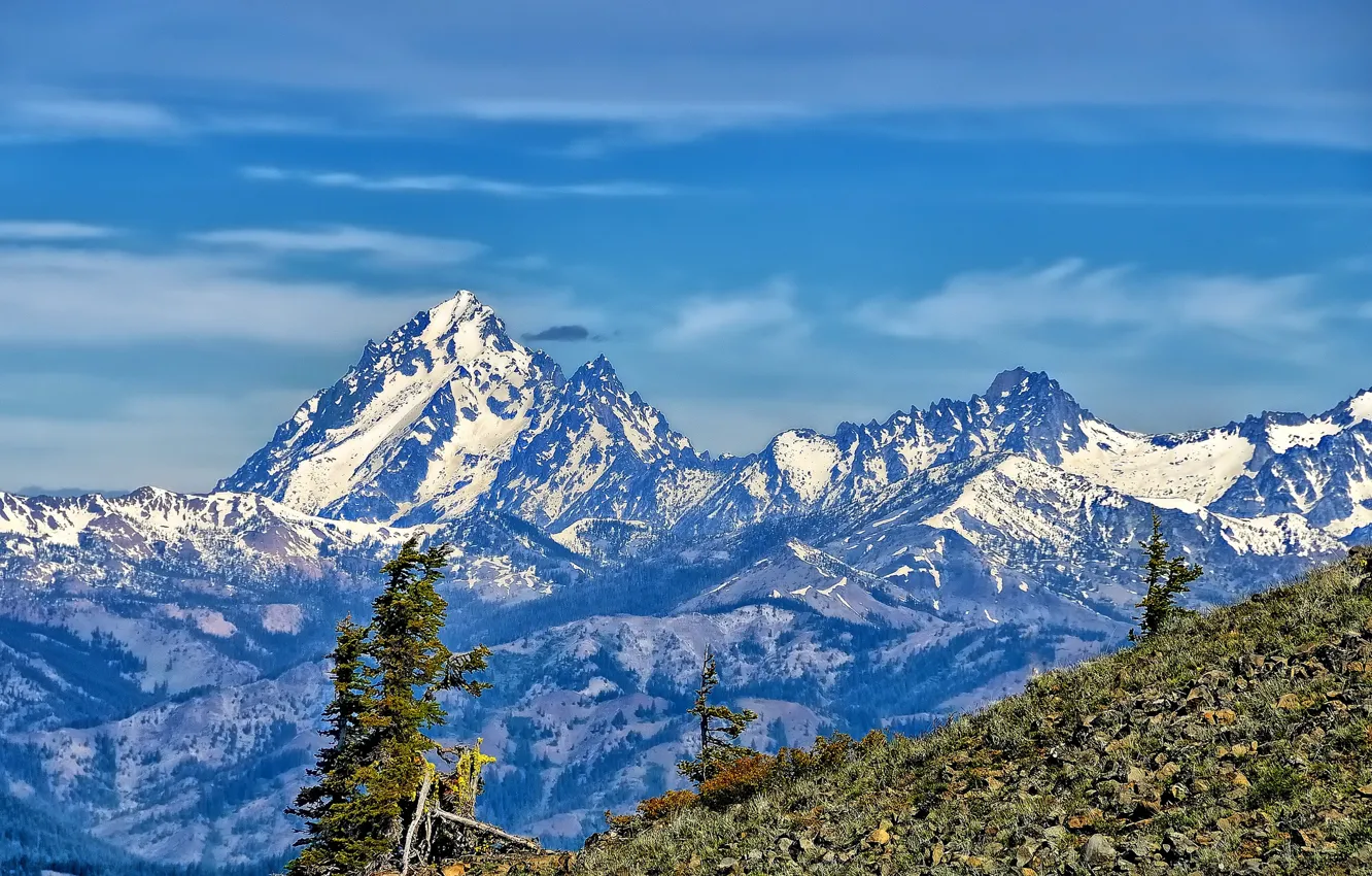 Фото обои деревья, горы, вершины, склон, Washington, Mount Stuart