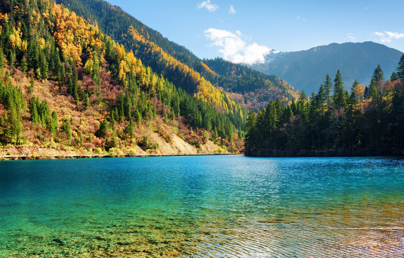 Фото обои осень, лес, деревья, горы, озеро, Китай, солнечно, заповедник