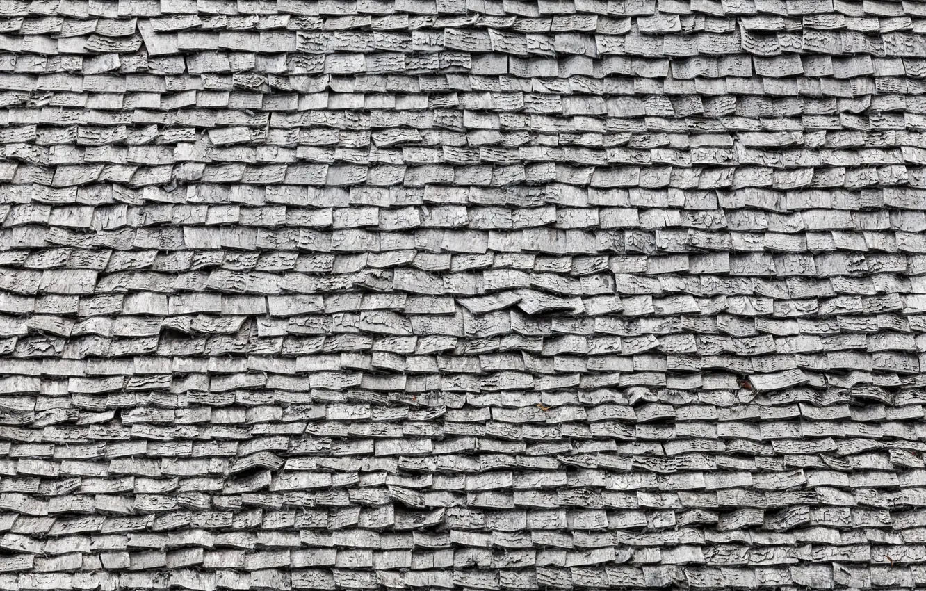 Фото обои Wall, bricks, pattern, gray