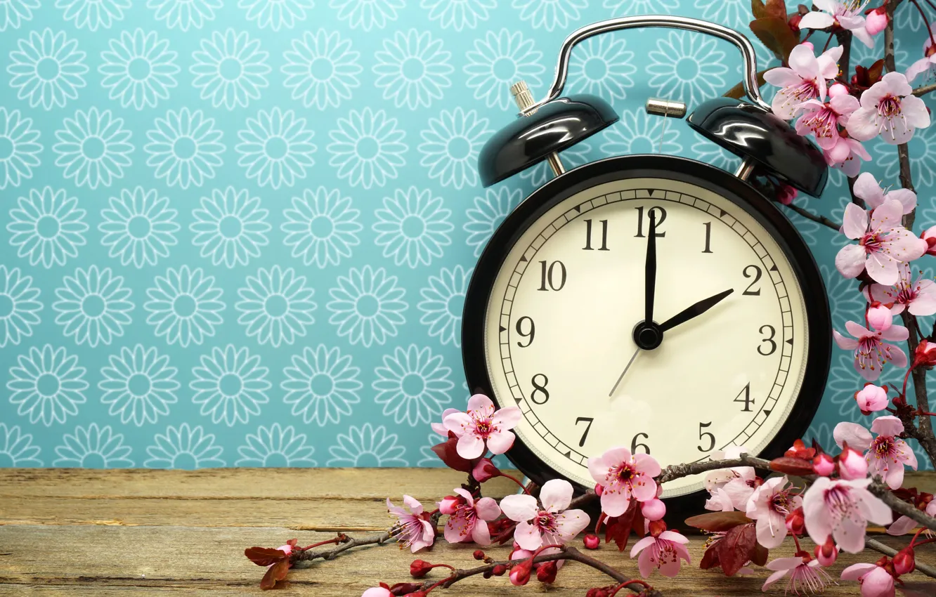 Фото обои время, часы, ветка, будильник, цветки