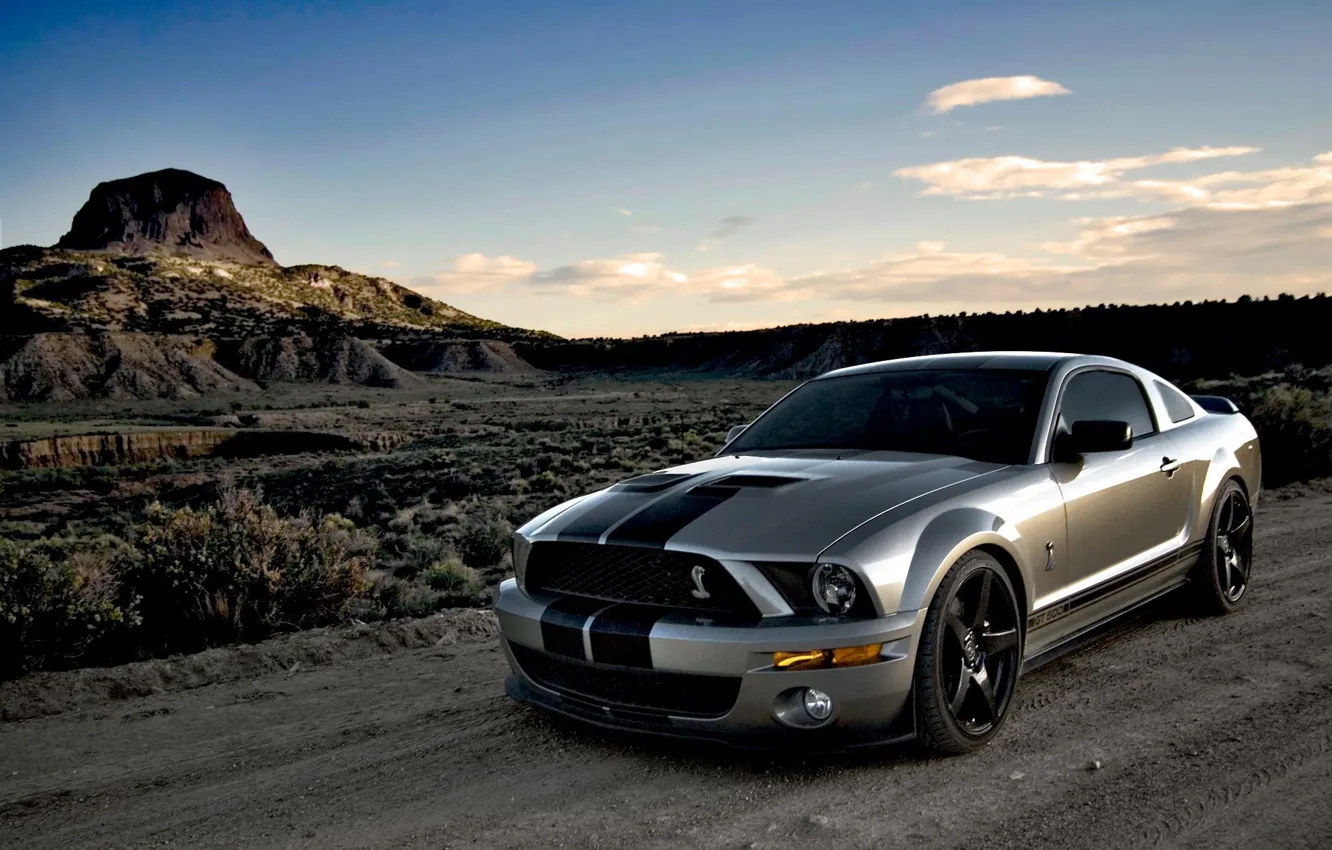 Фото обои Mustang, Shelby, Cobra