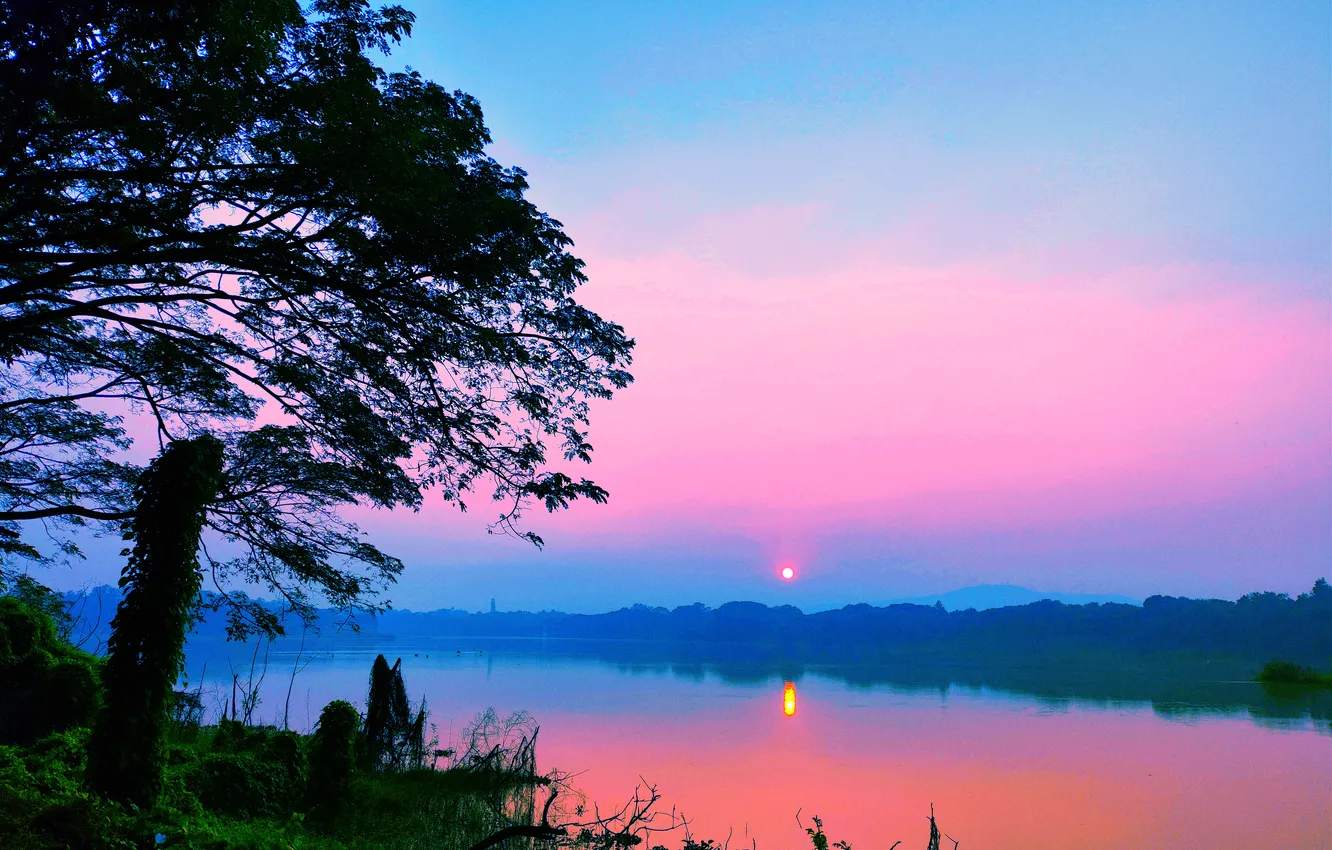 Фото обои Sky, Grass, Sun, Water, Sunrise, Dawn, Morning, Lake