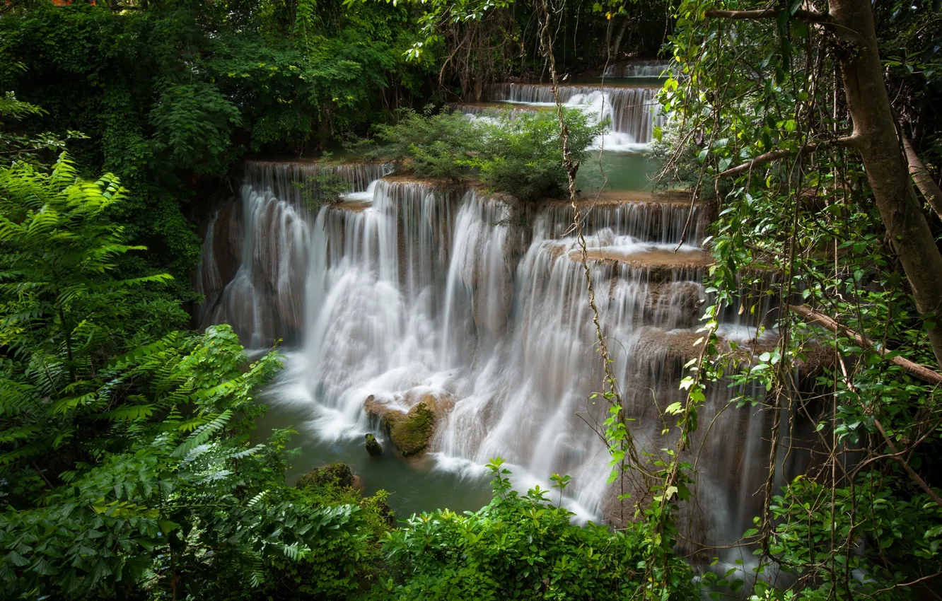 Фото обои ветки, природа, заросли, листва, водопад, Таиланд, каскад