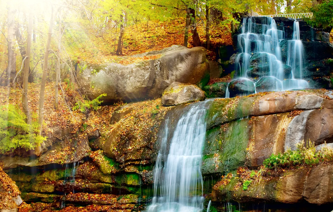 Фото обои осень, лес, листья, лучи, свет, деревья, скалы, водопад