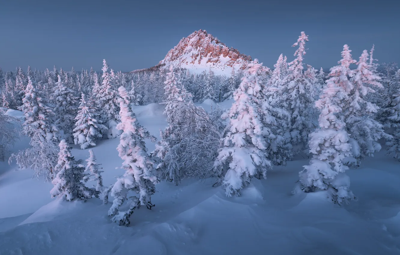 Фото обои зима, снег, деревья, гора, ели, сугробы, Россия, Южный Урал