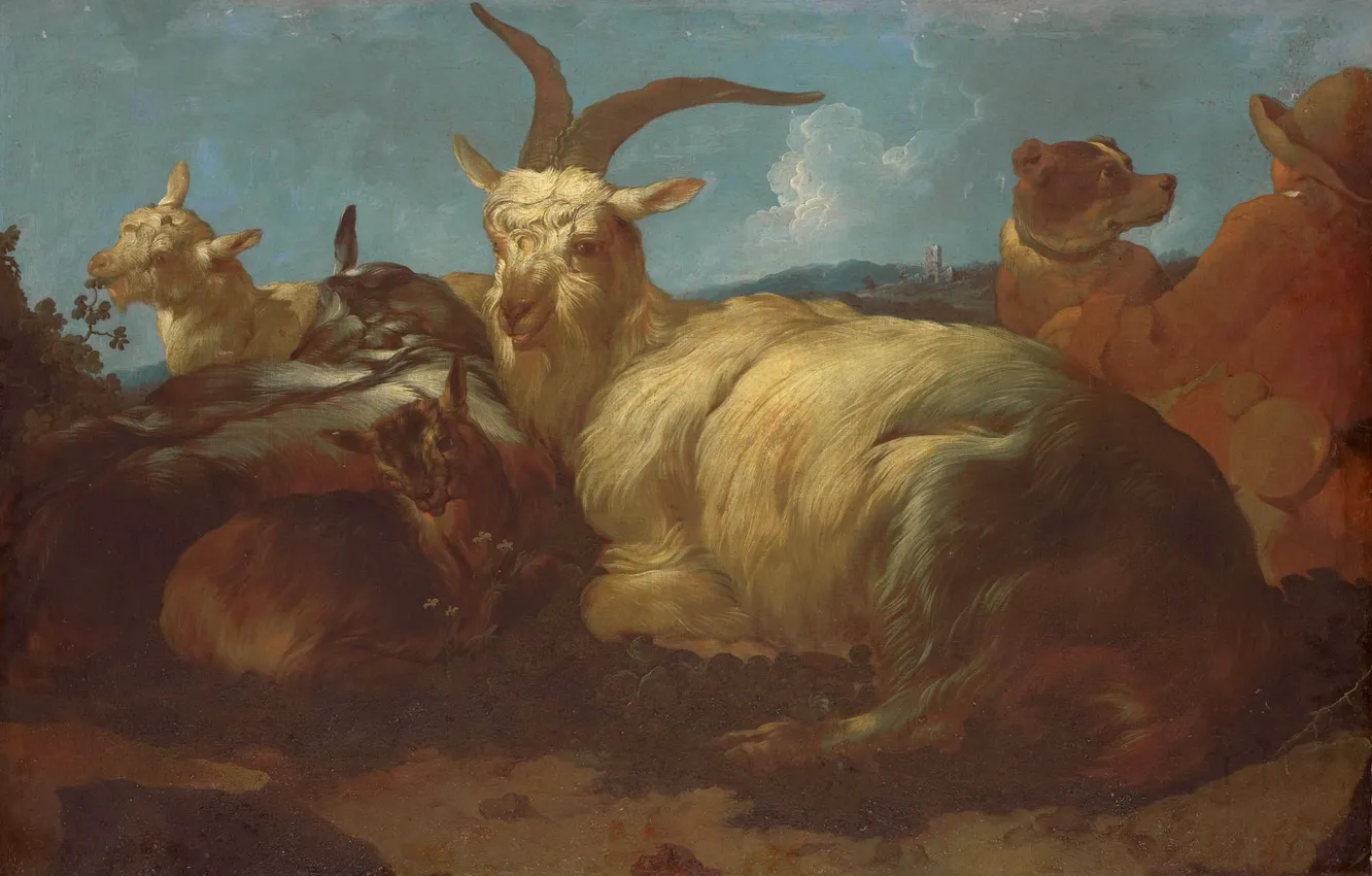 Фото обои животные, масло, картина, холст, 1683, Johann Melchior Roos, Иоганн Мельхиор Роос, Пастух с Козами