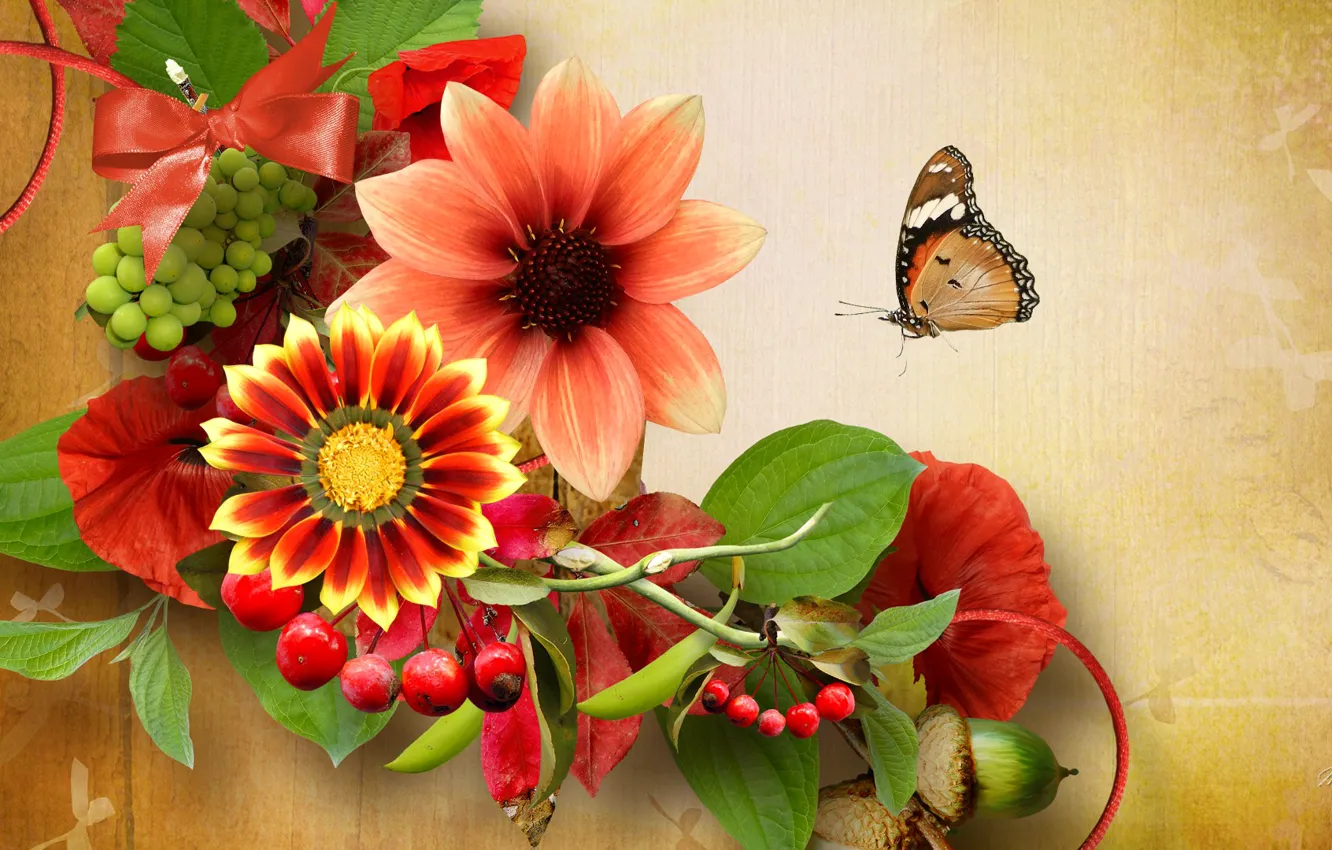 Фото обои цветы, природа, ягоды, коллаж, бабочка, желудь