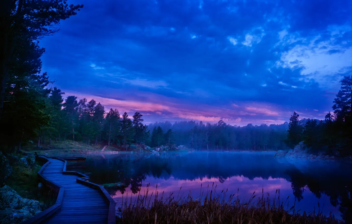 Фото обои лес, небо, облака, деревья, озеро, зарево