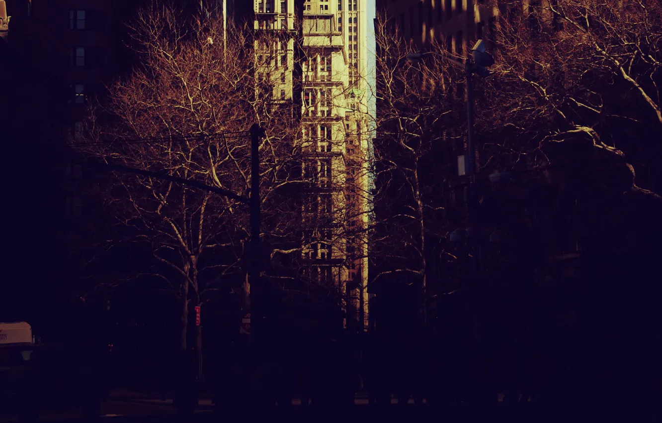 Фото обои деревья, city, город, парк, настроение, нью-йорк, new york, обои на рабочий стол
