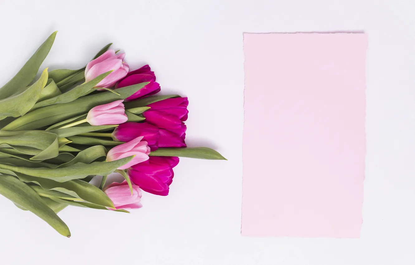 Фото обои букет, тюльпаны, розовые