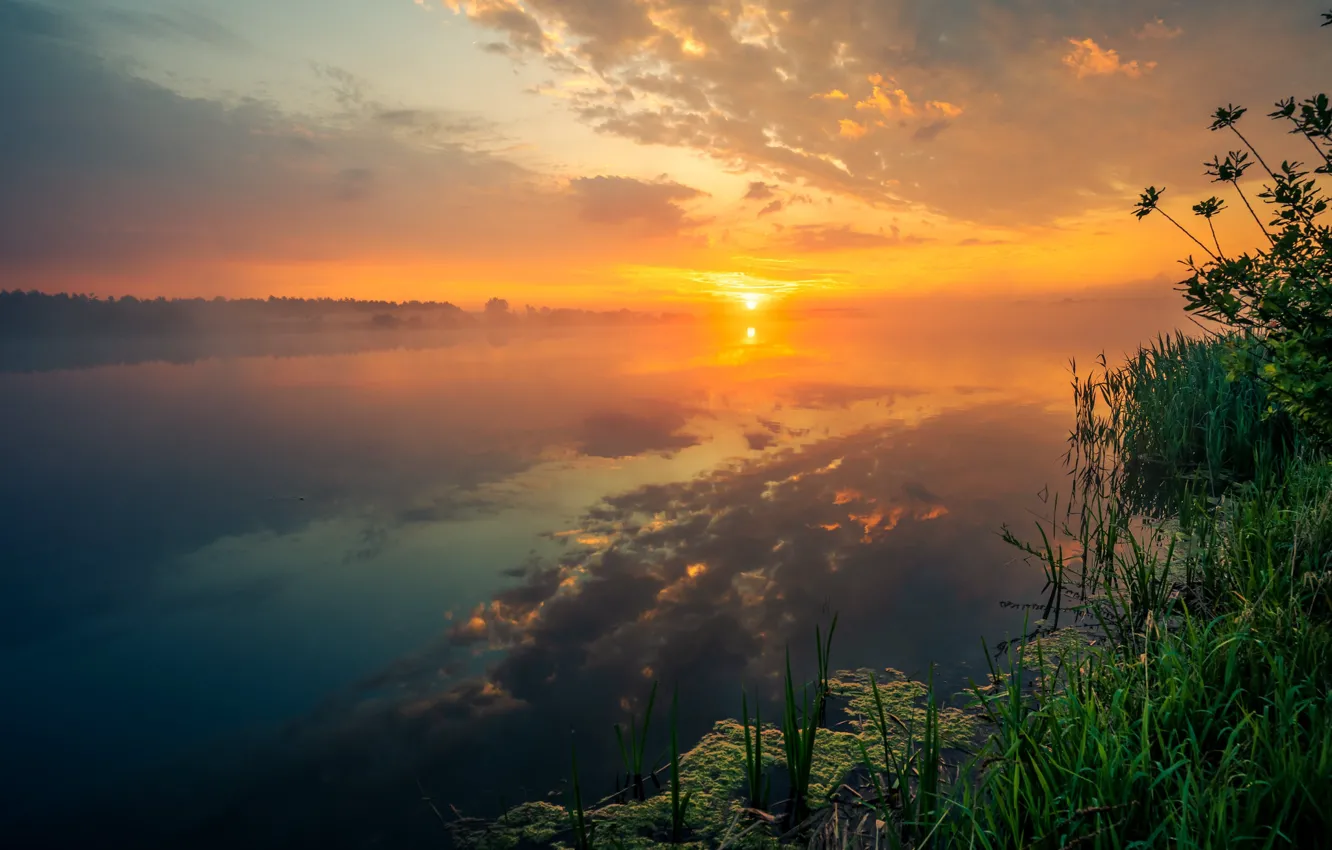 Фото обои трава, солнце, облака, закат, туман, озеро, отражение, рассвет