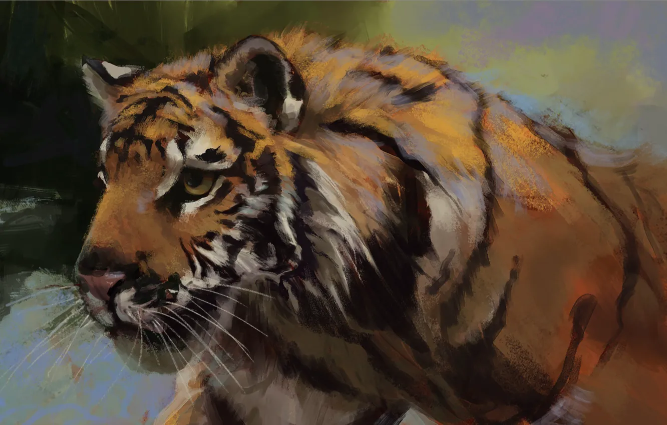 Фото обои взгляд, морда, тигр, зверь, tiger