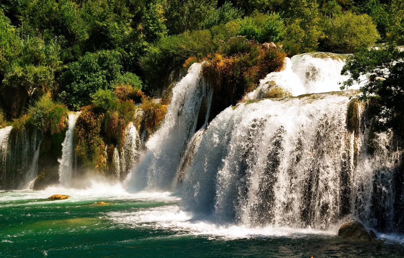 Фото обои водопад, поток, кусты