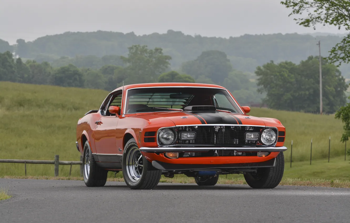 Обои Mustang, Ford, мустанг, форд, 1970, Mach 1, 428, Super Cobra Jet ...