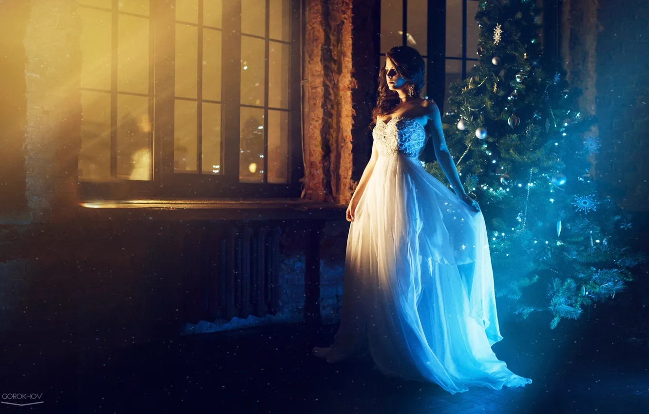 Фото обои праздник, модель, платье, ёлка, красивая, photographer, позирует, Ivan Gorokhov