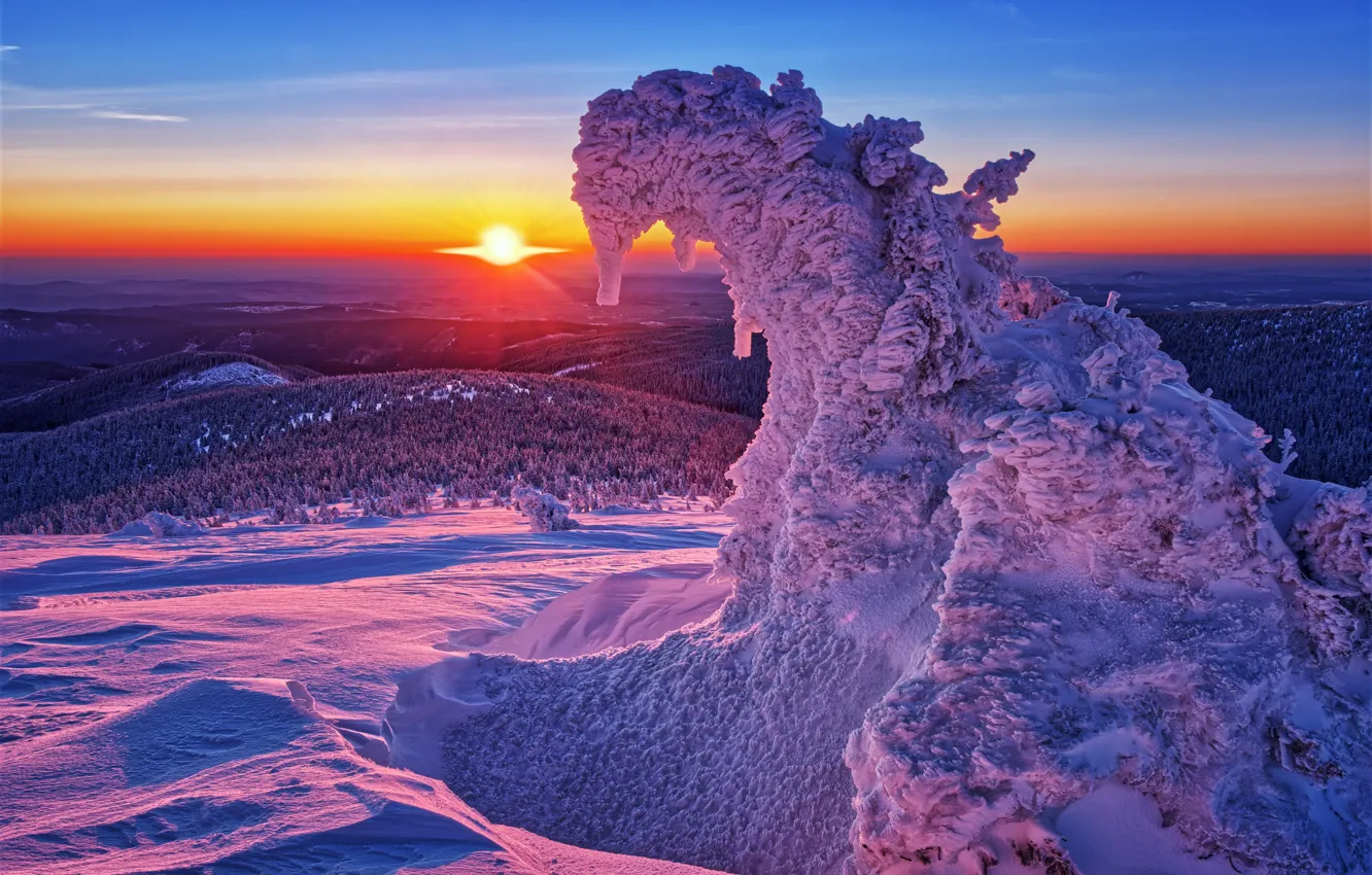 Фото обои зима, солнце, лучи, пейзаж, горы, природа, восход, дерево
