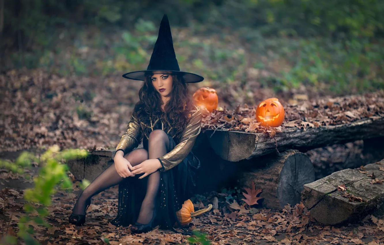Фото обои тыквы, Halloween, ведьма, колдунья