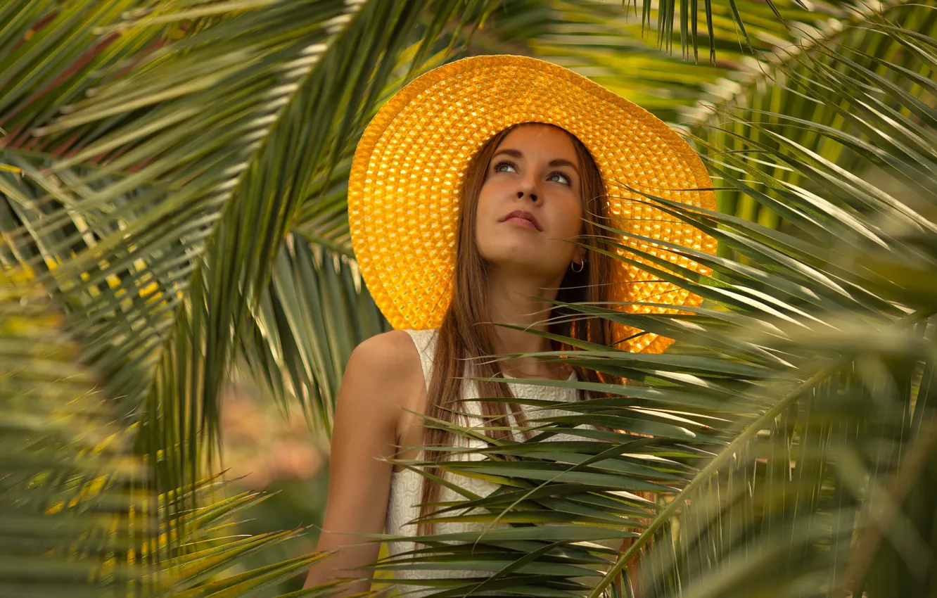 Фото обои взгляд, листья, девушка, пальма, шляпа, платье, шатенка, Ирина Харитонова