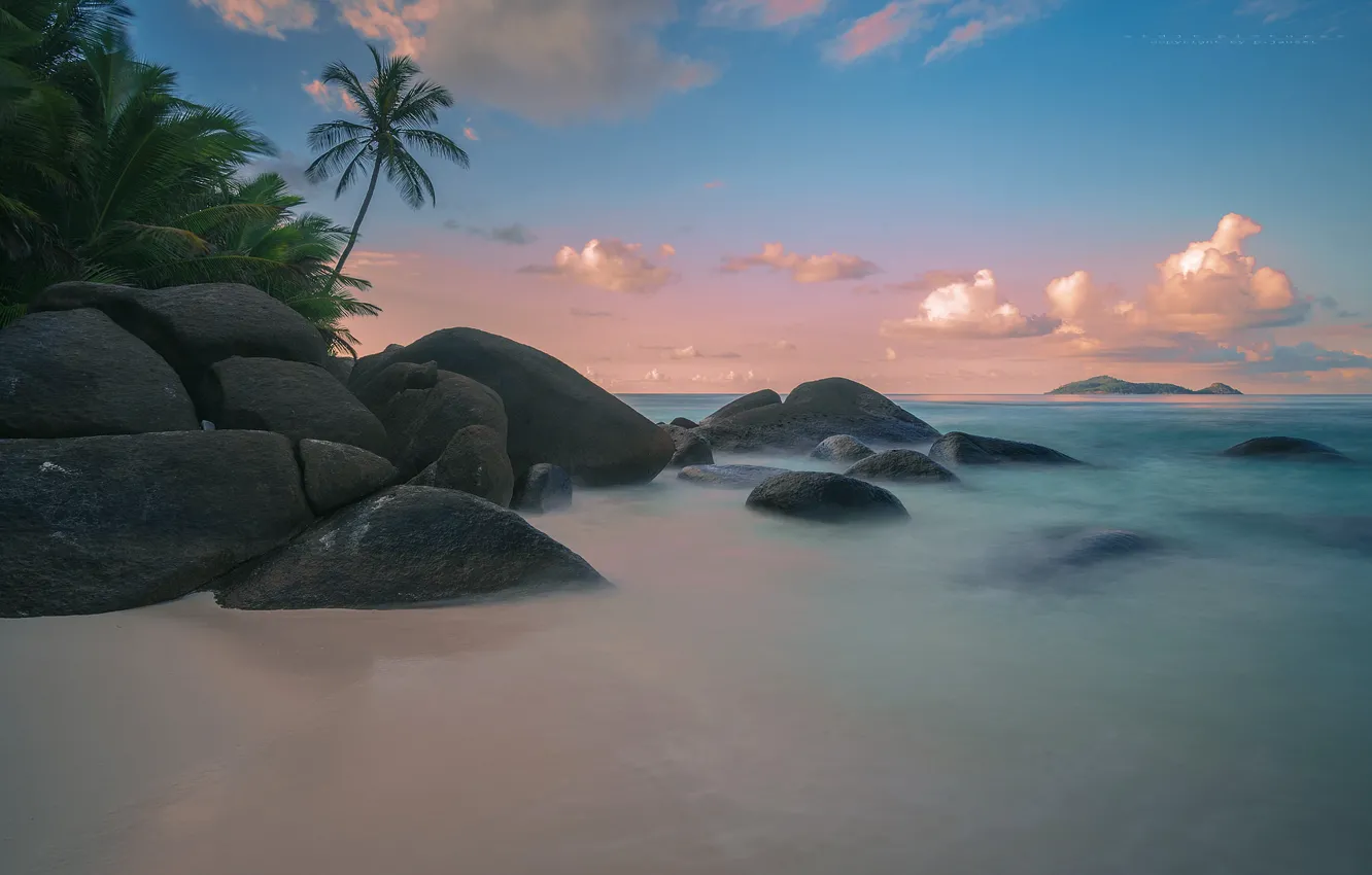 Фото обои море, пляж, тропики, пальмы, побережье