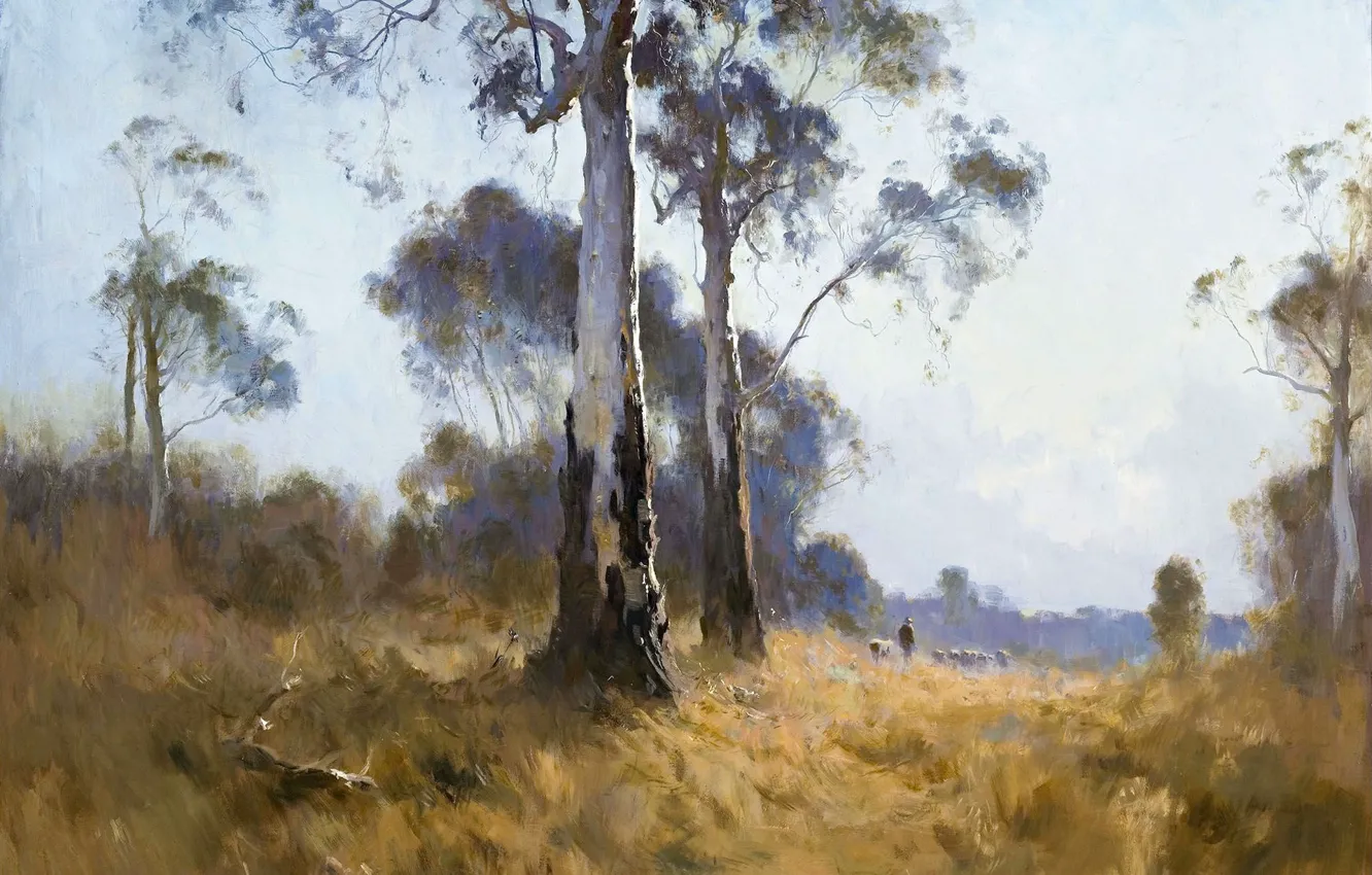 Фото обои пейзаж, 1921, Penleigh Boyd, Пенлей Бойд, Ghost Gum at Kangaroo Flat
