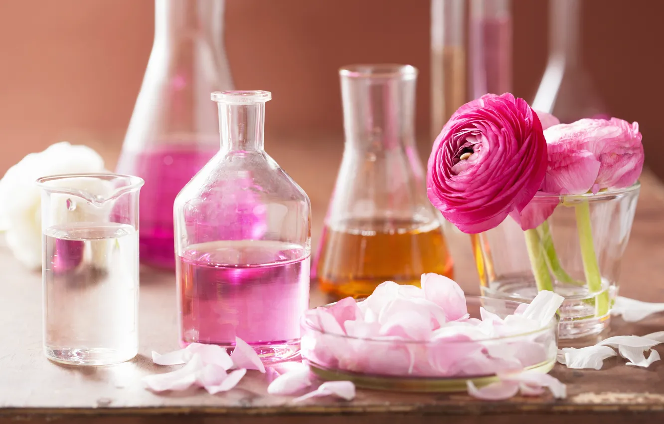 Фото обои масло, розы, лепестки, pink, Spa, спа, roses, perfume
