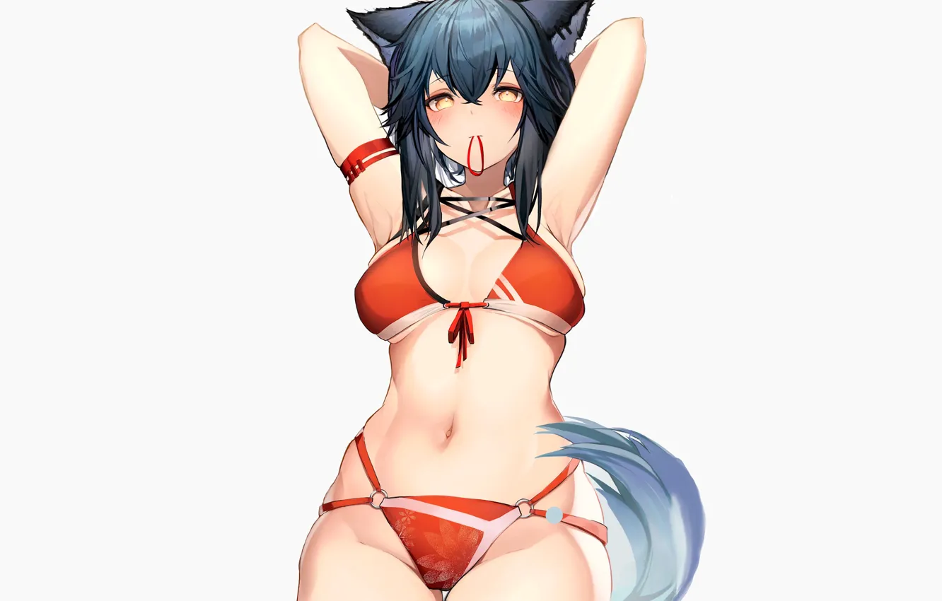 Фото обои sexy, anime, cat, tail, bikini, Neko, Neko girl, Arknights