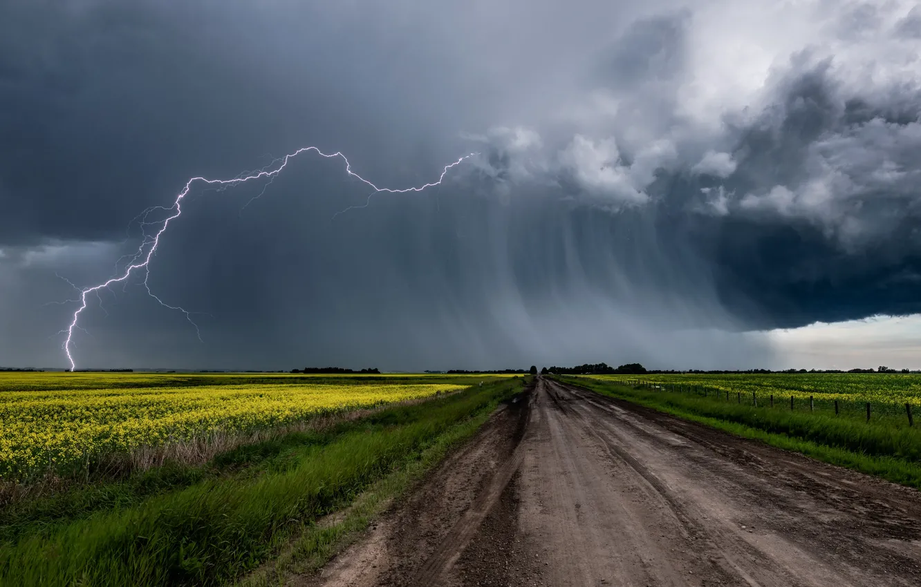 Фото обои дорога, гроза, поле, небо, трава, цветы, тучи, стихия